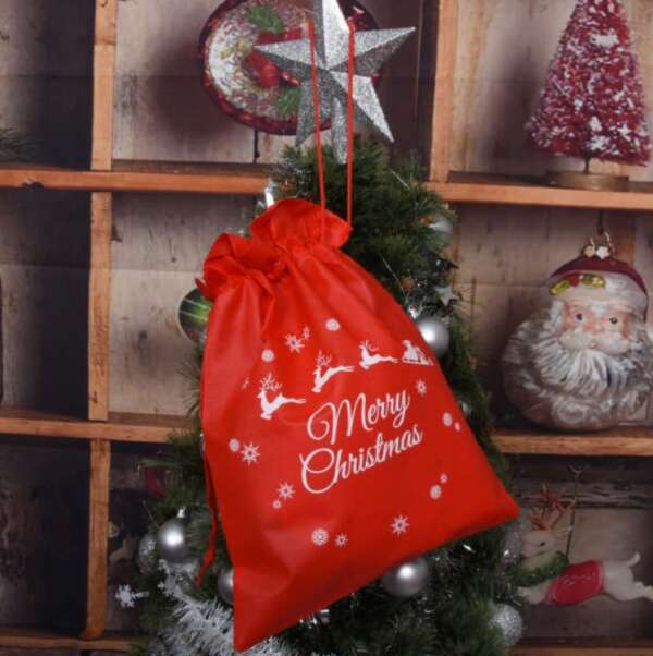 Christmas bag - Xmas bag - AI WEB SHOP