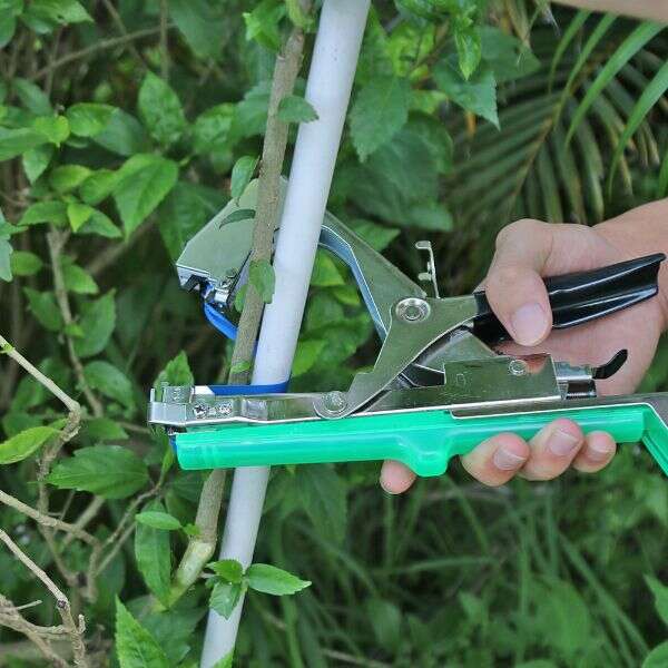 Plant tying tool - Bindsy - AI WEB SHOP