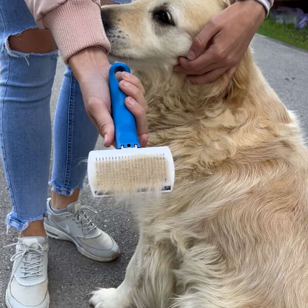 Pet brush - Softy Max - AI WEB SHOP