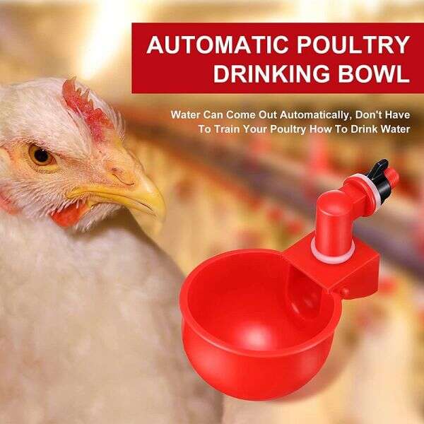 Set for automatic water provision for poultry - PoulCups - AI WEB SHOP